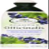 L'Angelica: "Officinalis" Shampoo Sebum - Regulating with Nettle and Myrtle 250ml - 8.45fl.oz [ Italian Import ] view 1