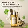 SKIN1004 Madagascar Centella Ampoule 3.38 fl.oz, 100ml, Korean Face Serum with Centella Asiatica, Hydrating and Moisturizing Care, Soothing Facial Serum for Skin Balance and Glow, Korean Skin Care view 4