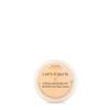 Aveda Control Paste Hair Pomade | Medium Hold Pomade | for All Hair Types, 2.5 Ounce view 1