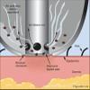 Face Care Tools Water Peel Microdermabrasion Handle With Two Transparent Tubes For Elitzia ETSPA90 view 4