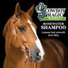 Cowboy Magic Shampoo + Conditioner 32 Ounce Bottles Detangler and Shine 4oz view 4