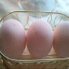 3 Pink Sugar Luxury Bath Bomb Fizzies, Large 5 oz Each, Handmade in The USA with Shea, Mango & Cocoa Butter, Ultra Moisturizing, Great for Dry Skin, All Skin Types view 1