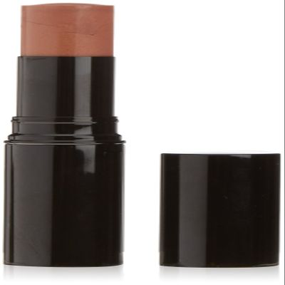 Chanel Les Beiges Healthy Glow Sheer Colour Stick 20